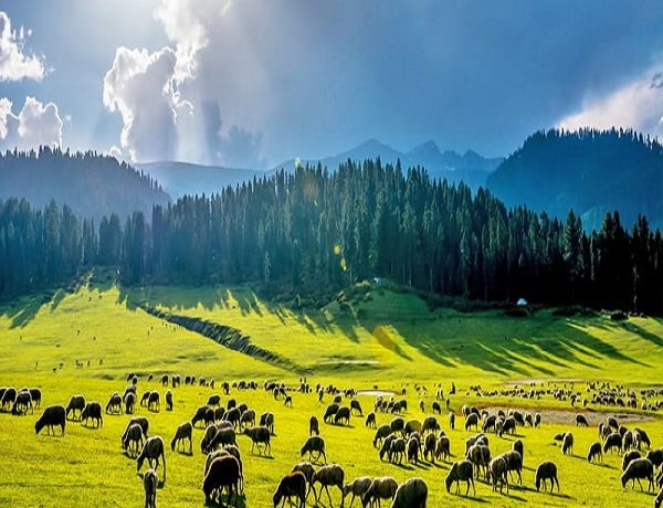 Offbeat Destinations In Kashmir - Kashmir Tour Package - Gkt